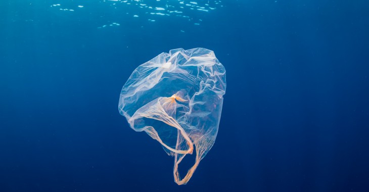 Miliony ton plastiku w wodzie obciążają gospodarkę Miliony ton plastiku w wodzie obciążają gospodarkę