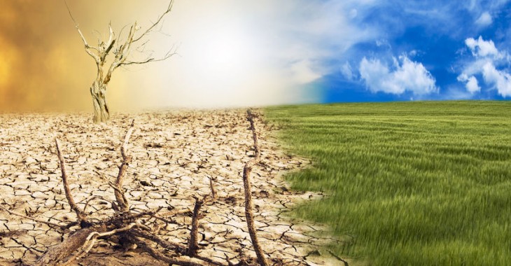 Polacy są gotowi na ponoszenie kosztów zmian klimatycznych, ale oczekują zaangażowania władz i biznesu